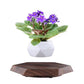Levitating - Floating Flower Pot with Wood Base