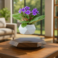 Levitating - Floating Flower Pot with Wood Base