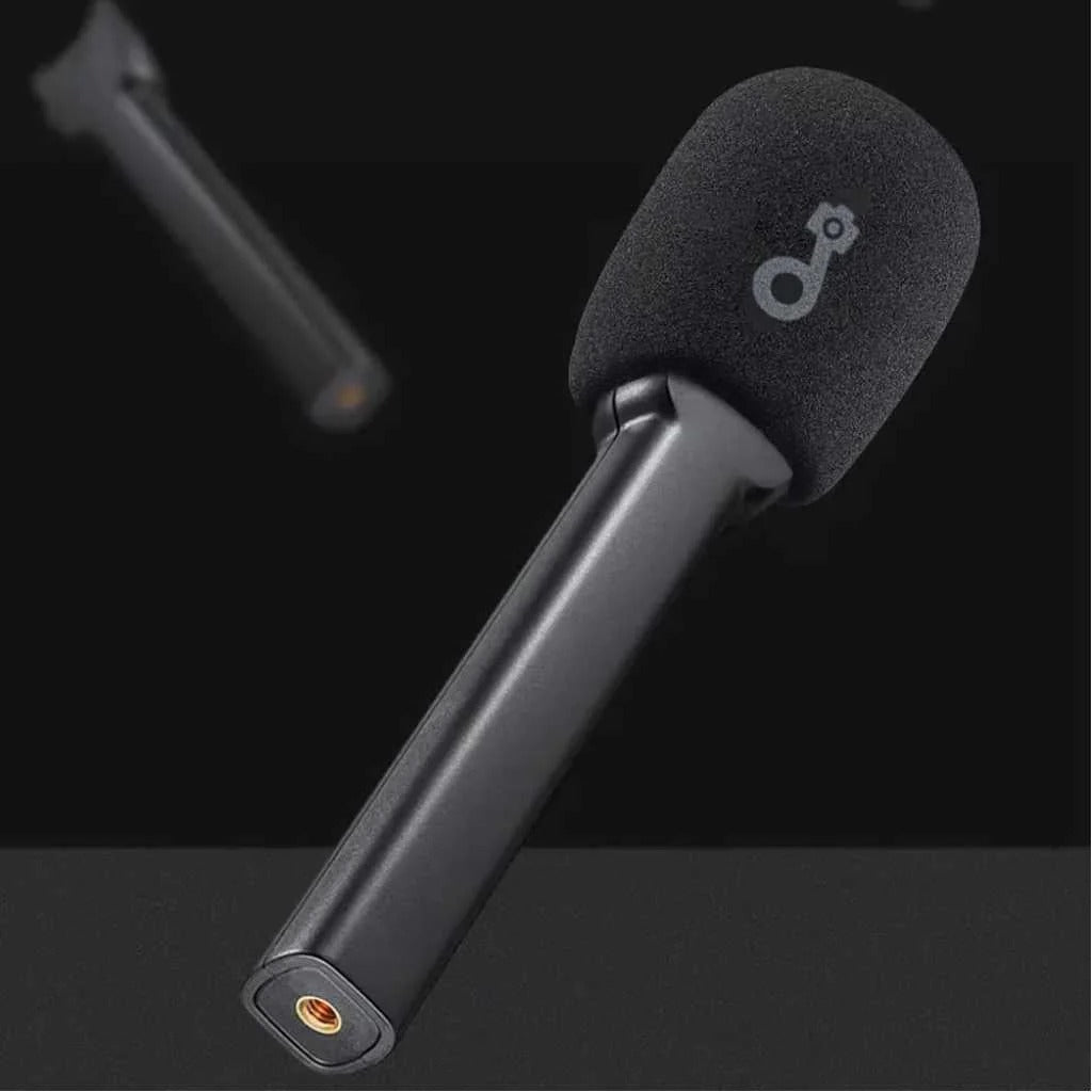 Candc Interview Dual Mic