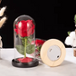 Rose Lamp